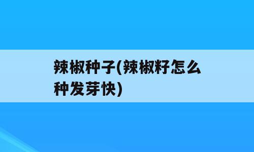 辣椒种子(辣椒籽怎么种发芽快)
