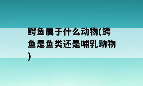 鳄鱼属于什么动物(鳄鱼是鱼类还是哺乳动物)