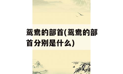 鸳鸯的部首(鸳鸯的部首分别是什么)
