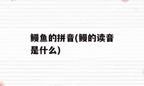 鳗鱼的拼音(鳗的读音是什么)