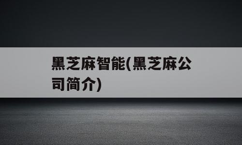 黑芝麻智能(黑芝麻公司简介)