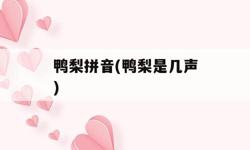 鸭梨拼音(鸭梨是几声)