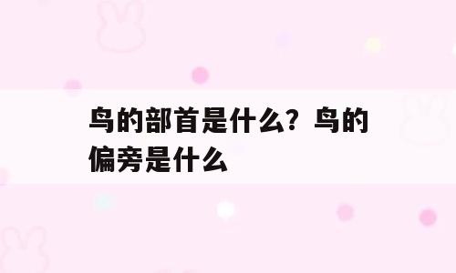 鸟的部首是什么？鸟的偏旁是什么