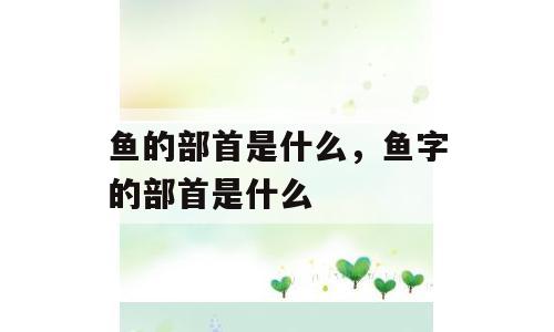 鱼的部首是什么，鱼字的部首是什么