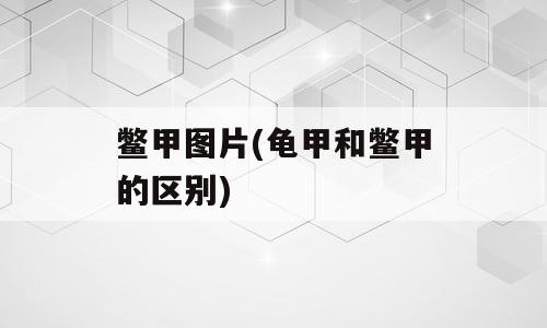 鳖甲图片(龟甲和鳖甲的区别)