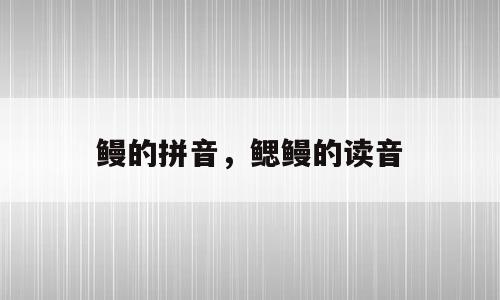 鳗的拼音，鳃鳗的读音
