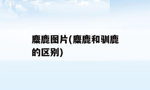 麋鹿图片(麋鹿和驯鹿的区别)