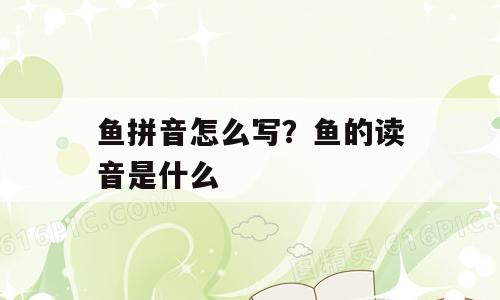 鱼拼音怎么写？鱼的读音是什么