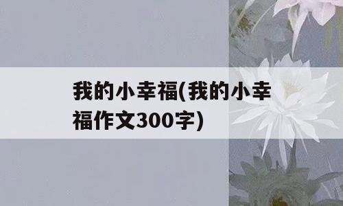 我的小幸福(我的小幸福作文300字)