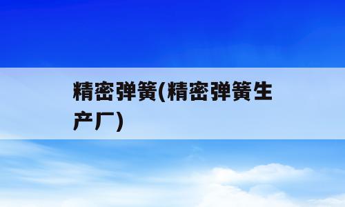 精密弹簧(精密弹簧生产厂)