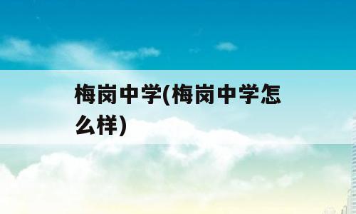 梅岗中学(梅岗中学怎么样)