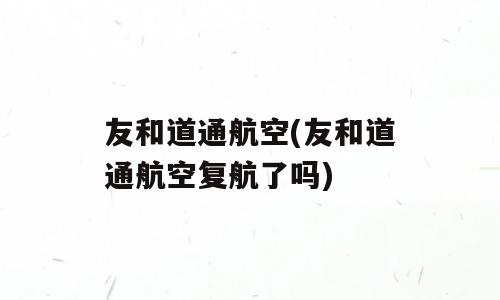 友和道通航空(友和道通航空复航了吗)