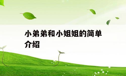 小弟弟和小姐姐的简单介绍