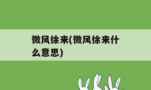 微风徐来(微风徐来什么意思)