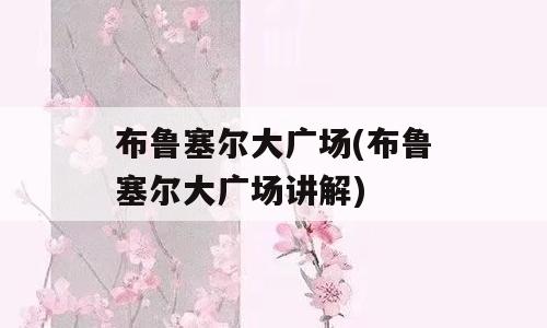 布鲁塞尔大广场(布鲁塞尔大广场讲解)