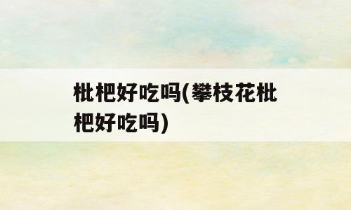 枇杷好吃吗(攀枝花枇杷好吃吗)