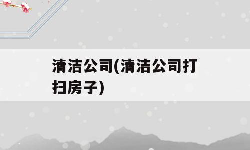 清洁公司(清洁公司打扫房子)