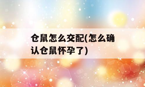 仓鼠怎么交配(怎么确认仓鼠怀孕了)