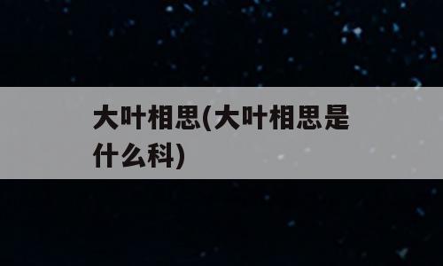 大叶相思(大叶相思是什么科)