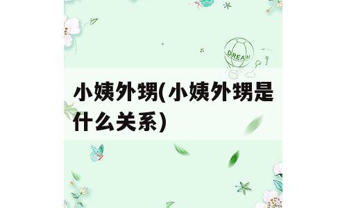小姨外甥(小姨外甥是什么关系)