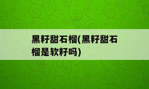 黑籽甜石榴(黑籽甜石榴是软籽吗)