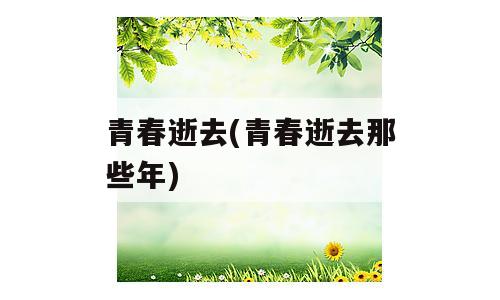 青春逝去(青春逝去那些年)