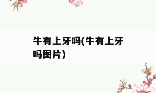 牛有上牙吗(牛有上牙吗图片)