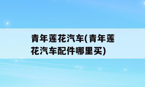 青年莲花汽车(青年莲花汽车配件哪里买)