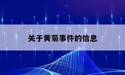 关于黄菊事件的信息