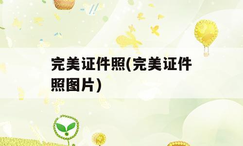 完美证件照(完美证件照图片)