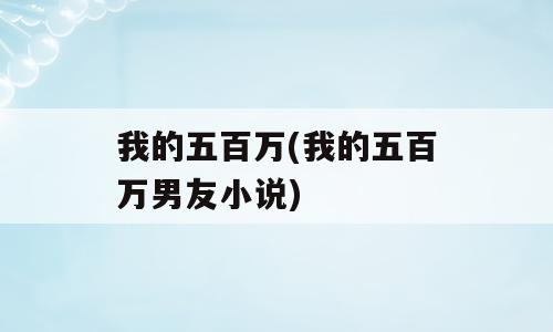 我的五百万(我的五百万男友小说)