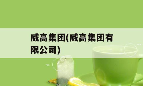 威高集团(威高集团有限公司)