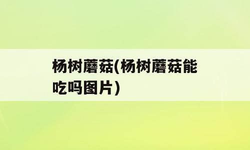 杨树蘑菇(杨树蘑菇能吃吗图片)