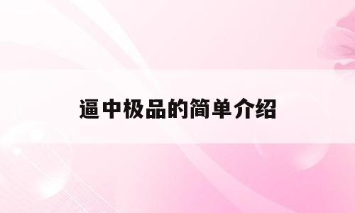 逼中极品的简单介绍