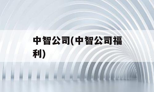 中智公司(中智公司福利)