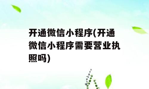 开通微信小程序(开通微信小程序需要营业执照吗)