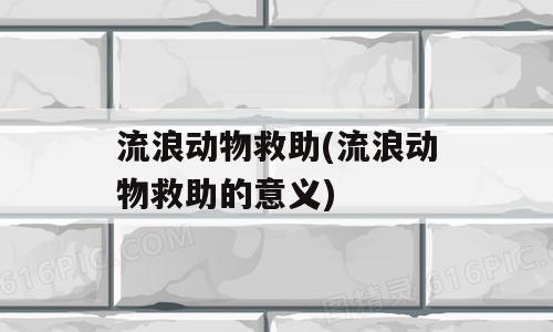 流浪动物救助(流浪动物救助的意义)