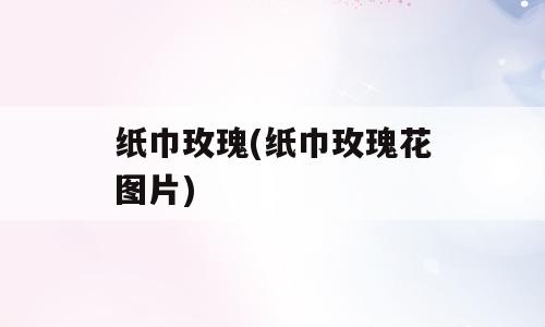 纸巾玫瑰(纸巾玫瑰花图片)