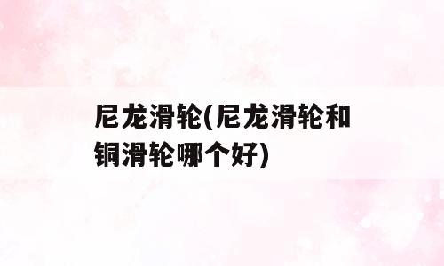 尼龙滑轮(尼龙滑轮和铜滑轮哪个好)