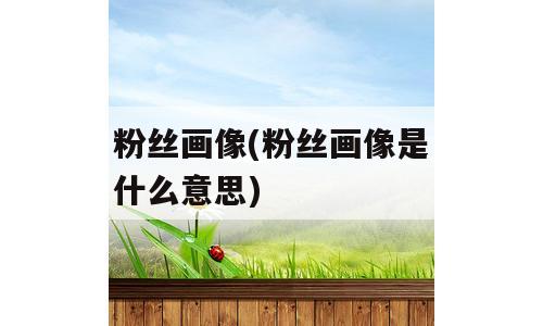 粉丝画像(粉丝画像是什么意思)