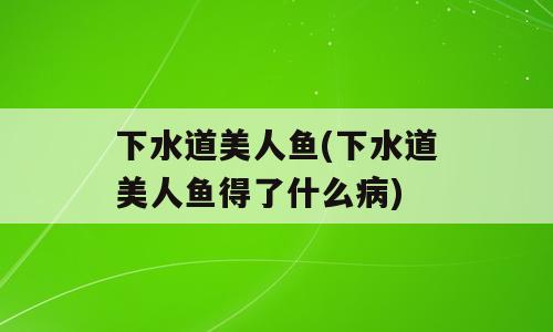 下水道美人鱼(下水道美人鱼得了什么病)