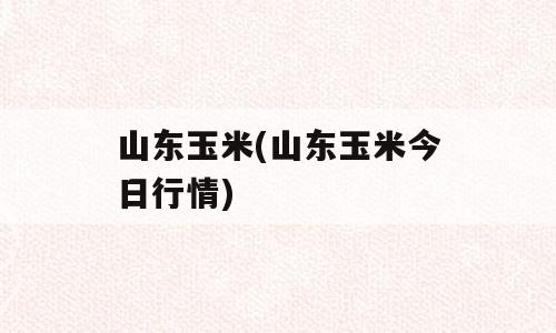 山东玉米(山东玉米今日行情)