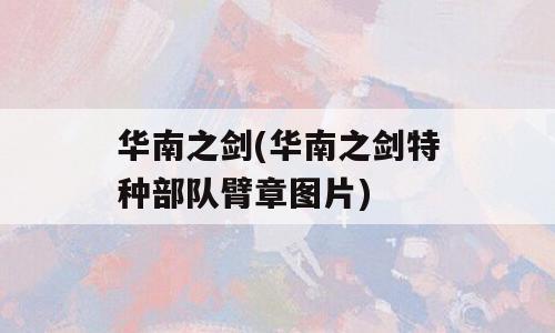 华南之剑(华南之剑特种部队臂章图片)