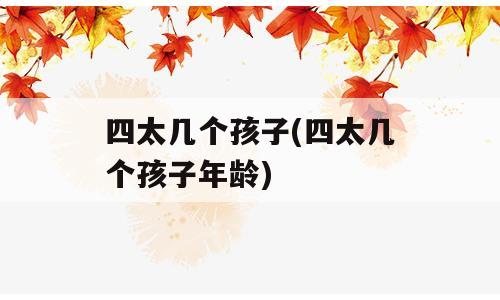 四太几个孩子(四太几个孩子年龄)