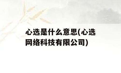 心选是什么意思(心选网络科技有限公司)