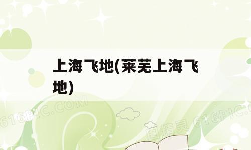 上海飞地(莱芜上海飞地)