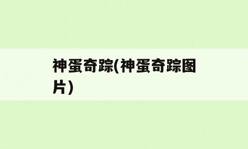 神蛋奇踪(神蛋奇踪图片)