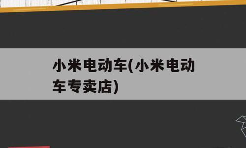 小米电动车(小米电动车专卖店)