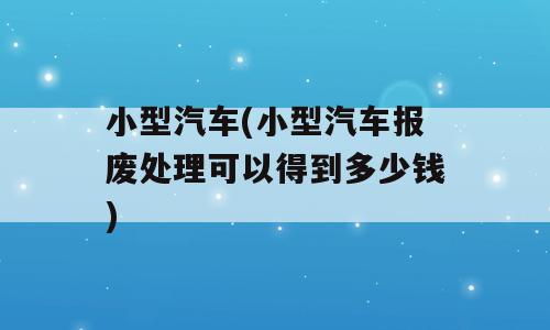小型汽车(小型汽车报废处理可以得到多少钱)