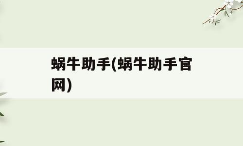 蜗牛助手(蜗牛助手官网)